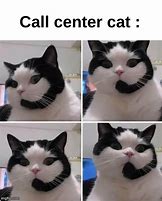 Image result for Cat Calling Meme