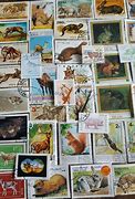 Image result for Funny Animal Stamps