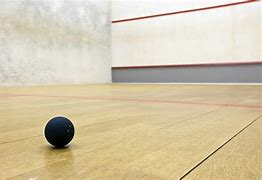 Image result for Squash Ball Isolation