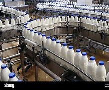 Image result for Dairy Factory