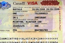 Image result for Canada Work Visa Statement