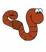 Image result for Worm Real Life Looking Clip Art
