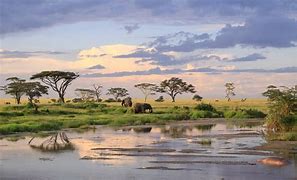 Image result for Tanzania Vacation