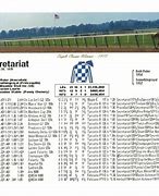 Image result for Belmont Stakes 155 Logo