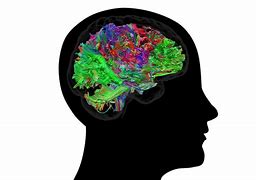 Image result for Brain Sticker