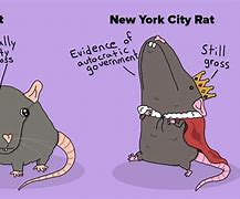 Image result for NYC Rat Meme