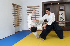 Image result for Aikido Books