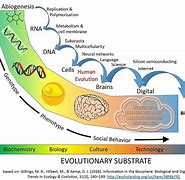 Image result for Timeline of Cell Colourful