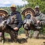 Image result for California Wild Turkey Hunting