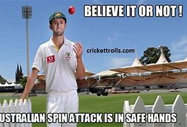 Image result for Noisy Cricket Meme