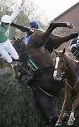 Image result for Horse Racing Injuries