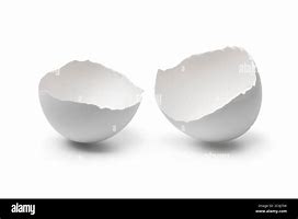 Image result for Cracked Egg Shell