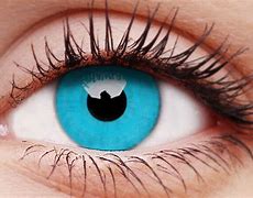 Image result for Sky Blue Contact Lenses