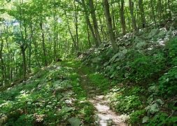 Image result for Dickey Ridge Trail Map