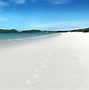 Image result for Australia Beach Resorts