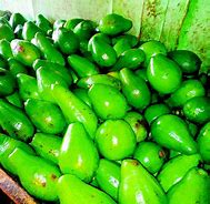 Image result for aguacqte