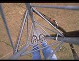 Image result for 200 Feet High and 95 Wild