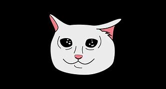 Image result for Crying Cat Meme 1080X1080