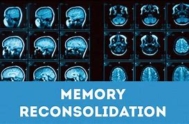 Image result for Memory Reconsolidation