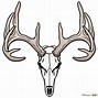 Image result for Deer Mandible