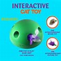 Image result for interactive cat toy