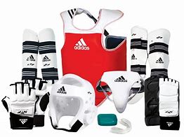 Image result for Sparing Gear for Martial Arts