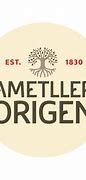 Image result for Ametller Origen Logo