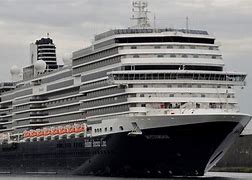 Image result for Rotterdam Cruise