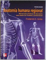 Image result for anatomía regional