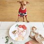 Image result for Dog Staring at Human Food