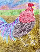 Image result for Le Coq Animal