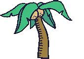 Image result for Palm Tree Lock Screen