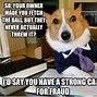 Image result for Hilarious Doggo Memes