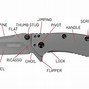 Image result for Pocket Knife Anatomy