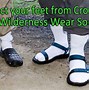 Image result for Crocs Funny Quotes