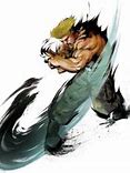 Image result for Sonic Boom Street Fighter