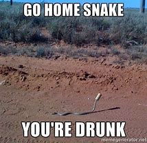 Image result for Australia Snake Memes