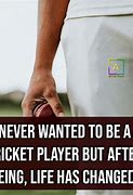 Image result for Cricket Lover Quotes