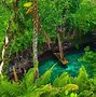 Image result for Best Tropical Beaches