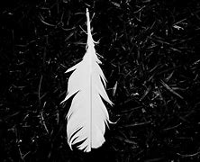 Image result for iPhone Black Feather Wallpaper