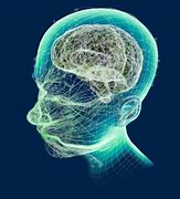 Image result for Working Memory Brain