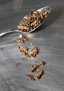 Image result for Flavored Crickets