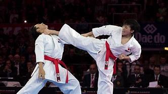 Image result for Japanese Point of View Karate