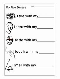 Image result for Five Senses Test for Grade 1