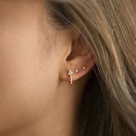 Image result for Leris Earrings