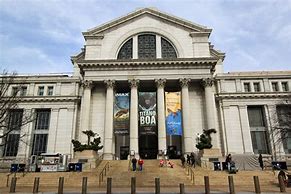 Image result for USA Museum