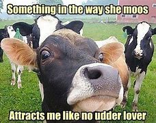Image result for Otis Cow Meme