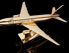 Image result for Black Hills Gold Airplane