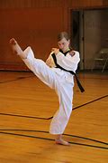 Image result for Female Martial Artists Art