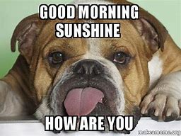 Image result for Cute Good Morning Sunshine Meme